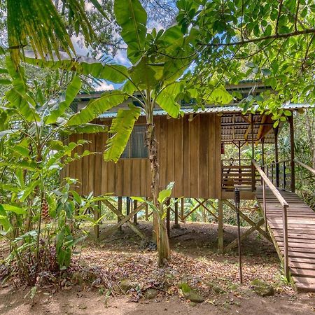 Selva Bananito Lodge Westfalia المظهر الخارجي الصورة