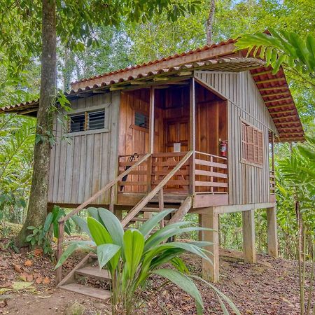 Selva Bananito Lodge Westfalia المظهر الخارجي الصورة