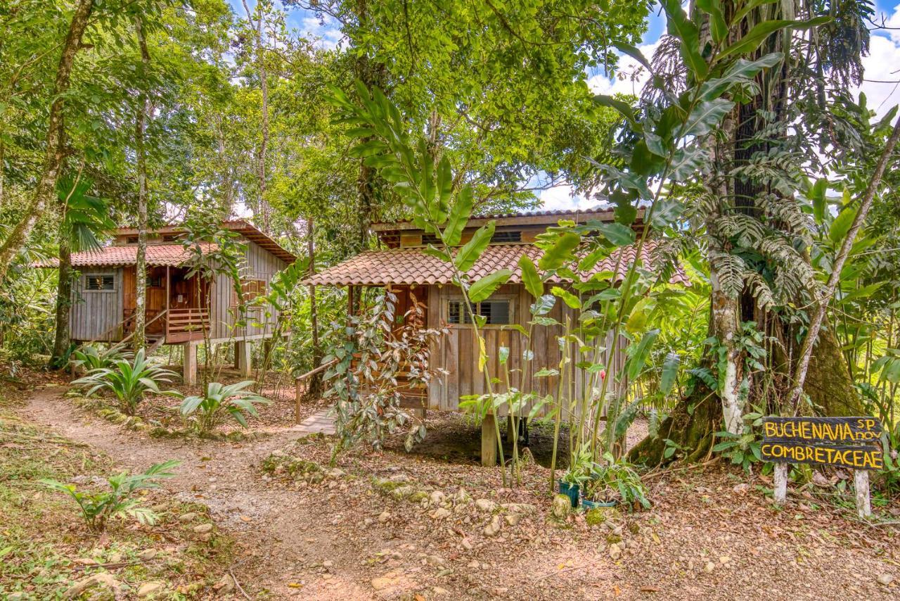Selva Bananito Lodge Westfalia المظهر الخارجي الصورة