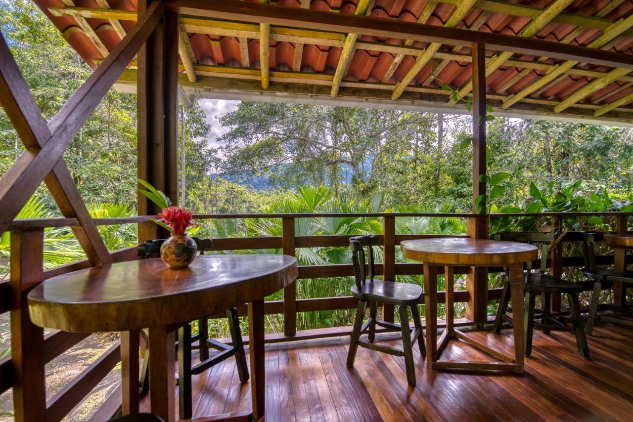 Selva Bananito Lodge Westfalia المظهر الخارجي الصورة