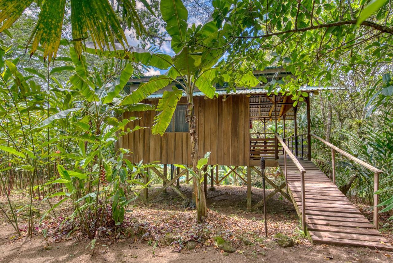 Selva Bananito Lodge Westfalia المظهر الخارجي الصورة