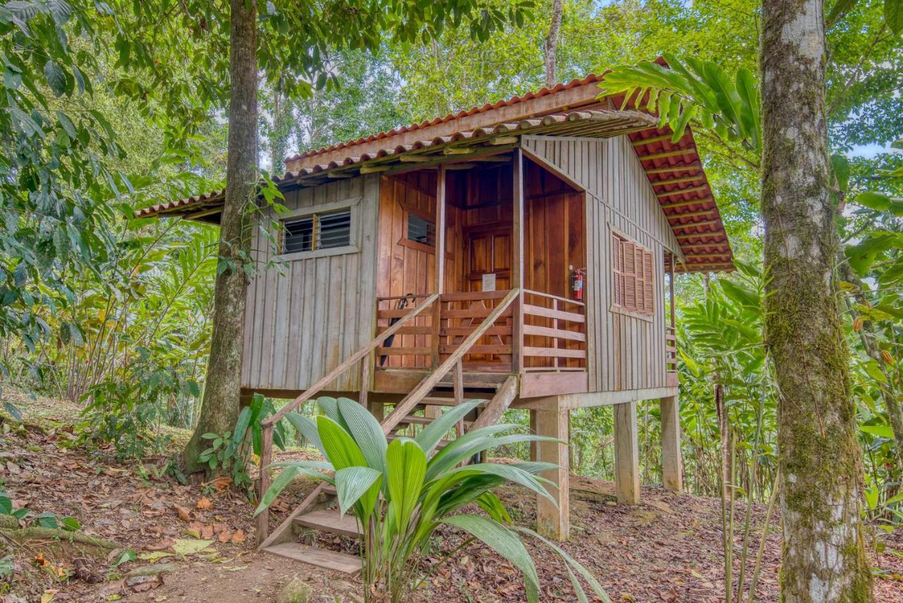 Selva Bananito Lodge Westfalia المظهر الخارجي الصورة