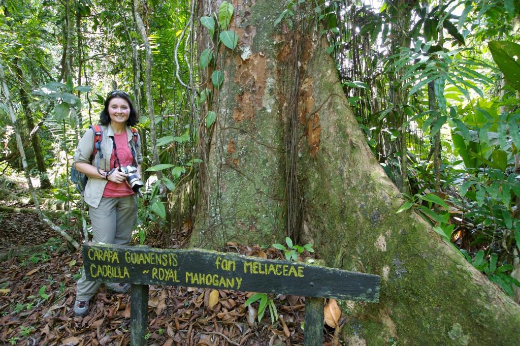 Selva Bananito Lodge Westfalia المظهر الخارجي الصورة