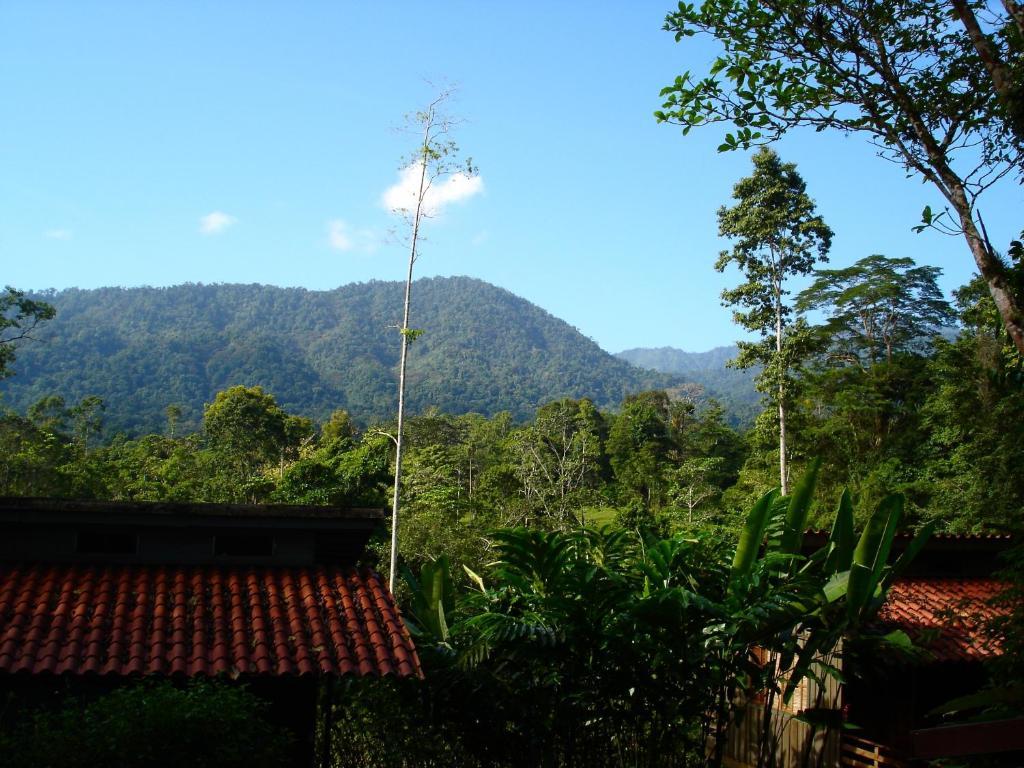 Selva Bananito Lodge Westfalia المظهر الخارجي الصورة